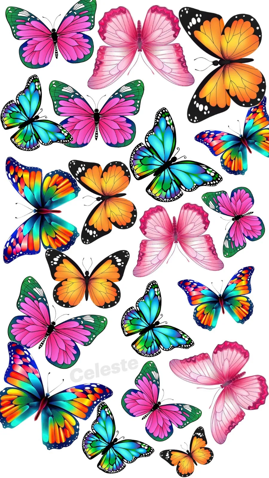Lot de 20 papillons comestibles