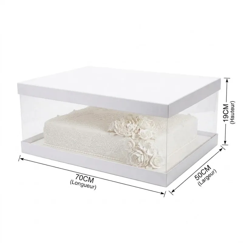 Boîte à Gâteau Rectangulaire Transparente XXL - 70 x 50 x 19 cm